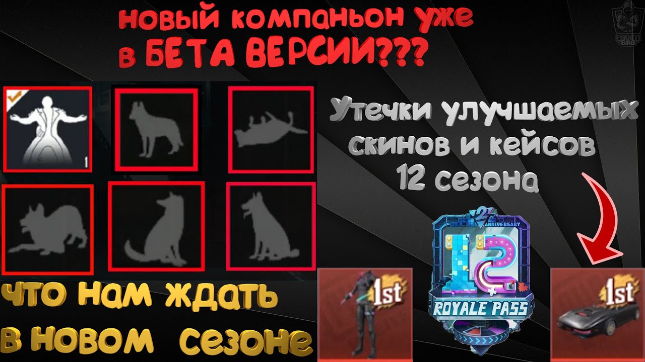 Скины на приору