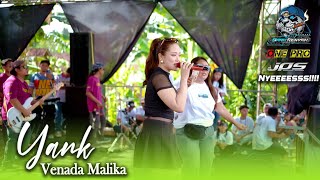 Venada Yank one pro 