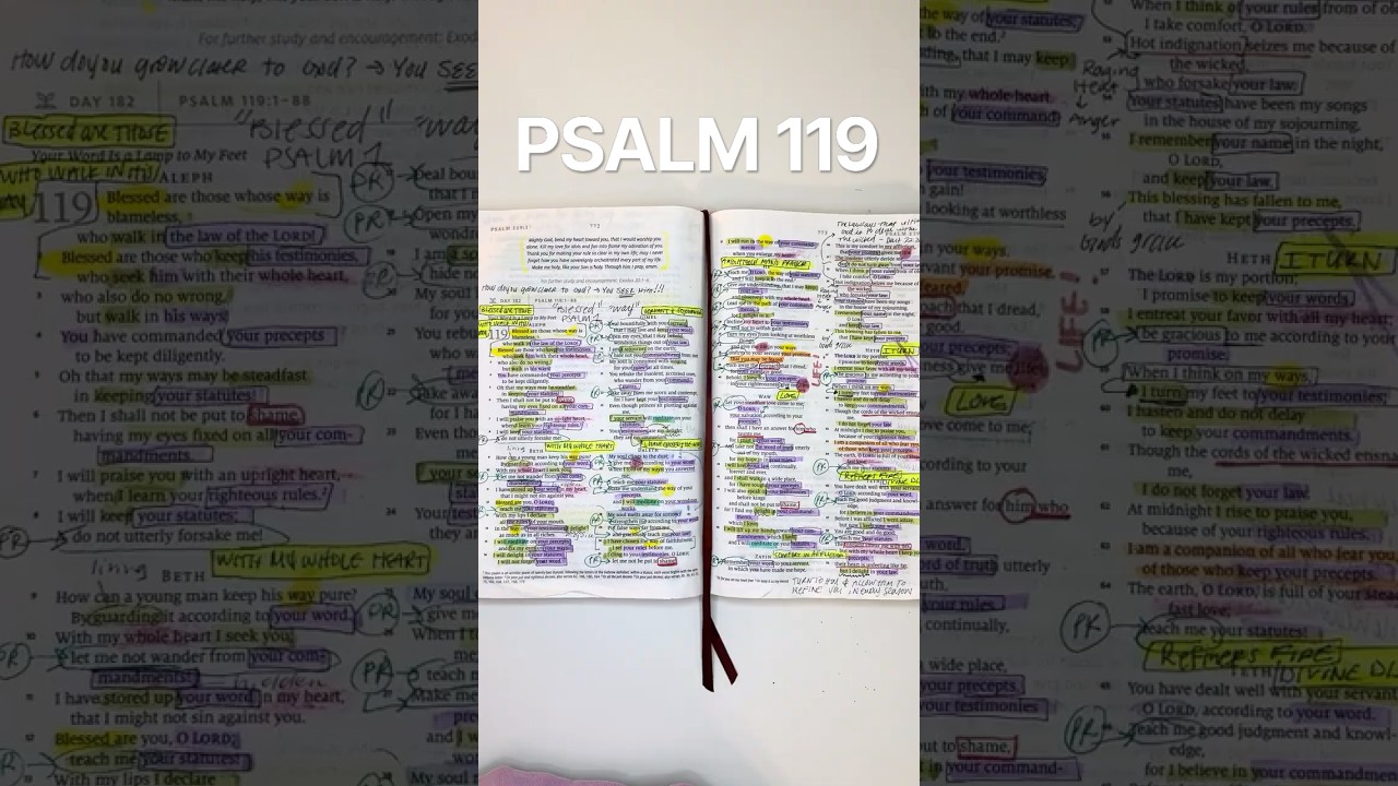 Studying The Longest Chapter In The Entire Bible. I'm Obsessed.