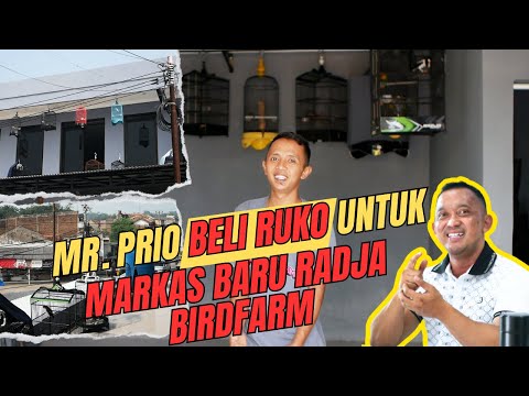 Mr. Prio Bela - Belain Beli Ruko Baru Demi Mencetak Pastol Jahat