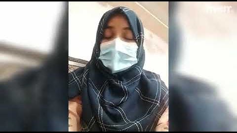 I will be elementor pro expert and fix wordpress bugs