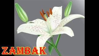 Турецкий язык для малышей - Турецкий язык для малышей -