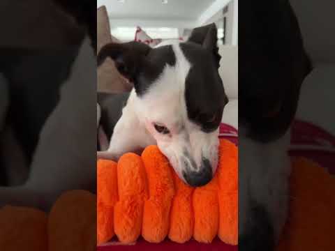 And For Valentine S Day Ma Got A Carrot Homedecor Homegoods Decoratewithme 