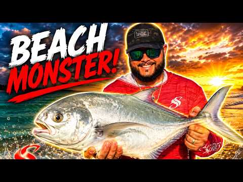 5 Fish Species You Can Catch Surf Fishing