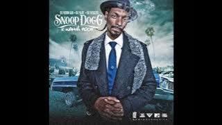 Snoop Dogg I Wanna Rock (feat Jay-Z) (Dirty)