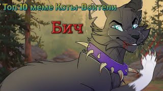 картинка: Топ 10 меме Коты-Воители: Бич