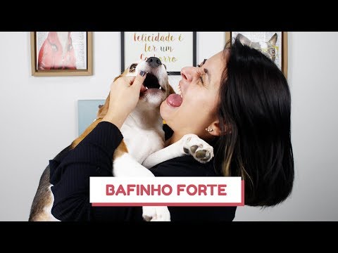 Vídeo: Como Se Livrar Do Mau Hálito Em Cães