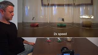 Telekinesis, three objects, three containers with Sean McNamara MindPossible.com