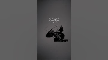سورة القصص _ الآية ١٦ _ الشيخ محمد صديق المنشاوي