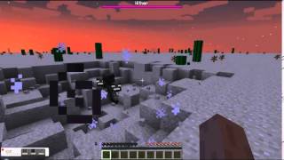 Minecraft Wither Battle FAIL