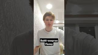 Вайб-энергия Палау #цифроваяпсихология #вайб #палау #остров #медузы #флораифауна #туризм #география