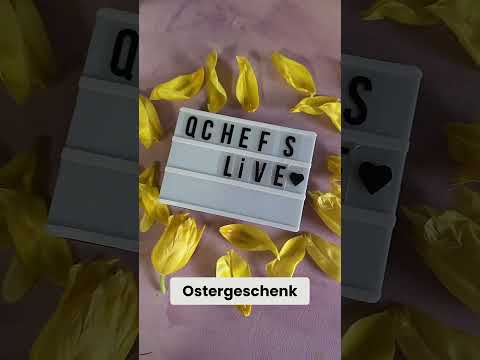 QCHEFS Oster Tagesbox  #qchefs #hund
