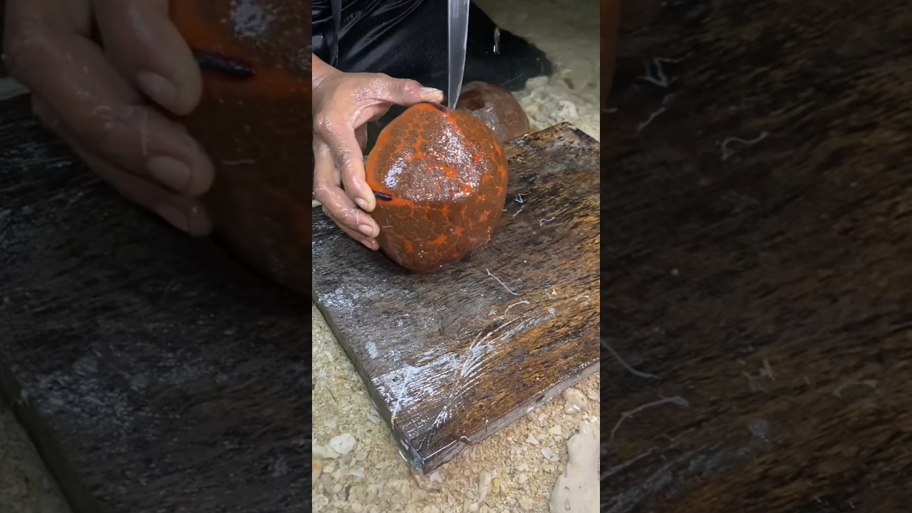 Cutting Weird Sea Rock: You Won’t Believe this