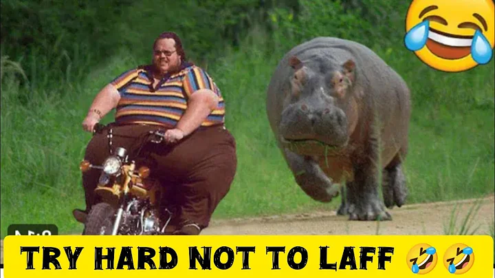 Funny videos compilation 🤣🤣Try not to laff#funnymoments 