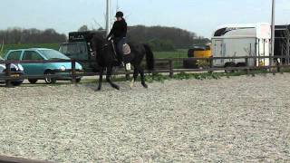 MVI_3855.AVI