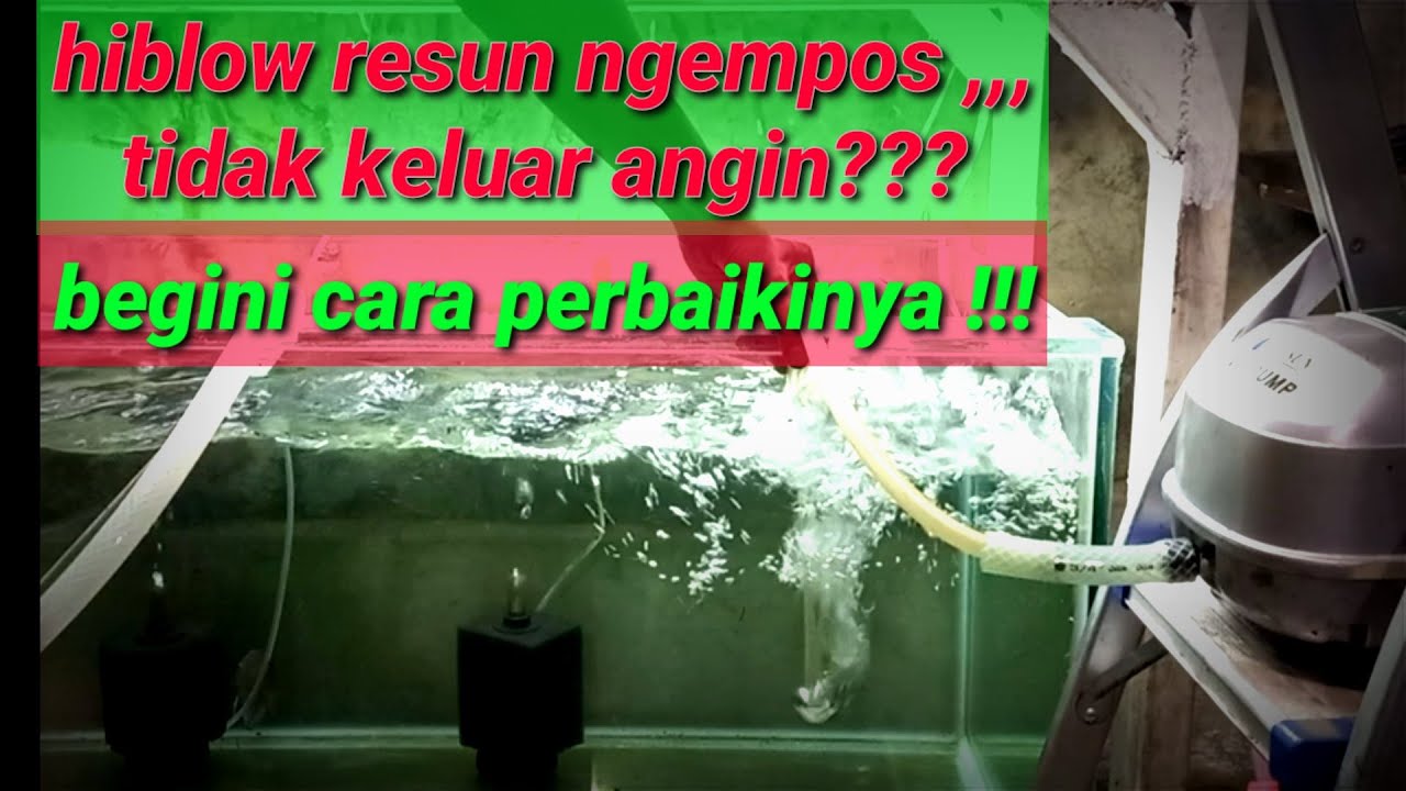 Cara perbaiki blower Resun LP-40 ngempos , tidak keluar angin