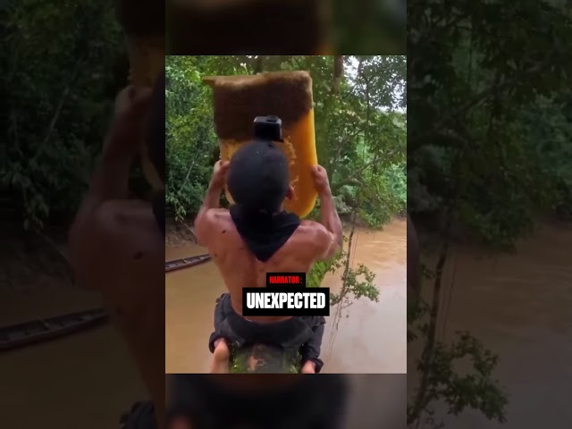 He Went To Collect Honey And Never Came Back...