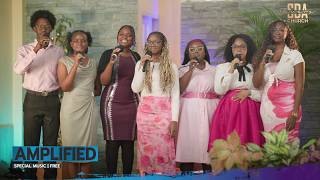 Download Lagu Amplified | Free Download Lagu Amplified | Free