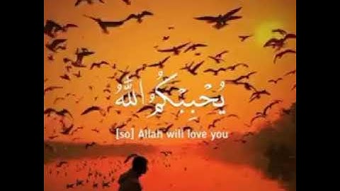 (قل إن كنتم تحبون الله فاتبعوني يحببكم الله ) تلاوة من سورة آل عمران