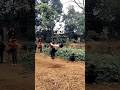 new back flip 🤸 practice #flip #backflip #youtubeshorts #viral #trending #vikash flipper01..