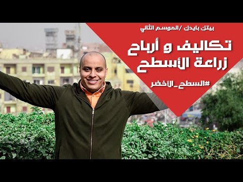 تكاليف و أرباح مشروع زراعة الأسطح من حلقة السطح الأخضر