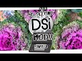 Autobooting DSi Mods // DSi Mods Made Easy! #shorts