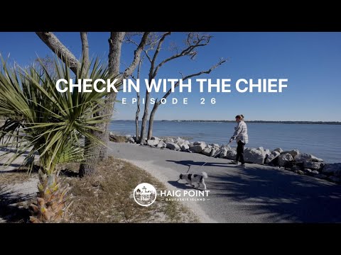 Chief Check In Check In with the Chief - Episode 26 - YouTube