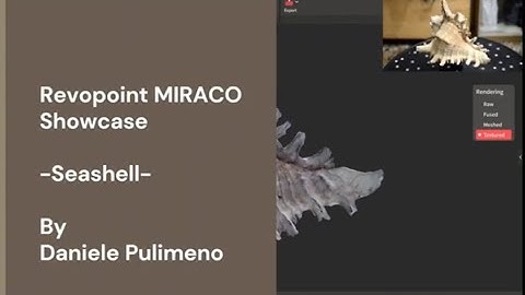 Revopoint MIRACO 3D Scanning Showcase - Seashell - shown in RevoScan5