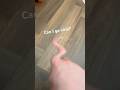Can I go viral? #viral #trending #funny #filter #fyp #youtubeshorts #shorts