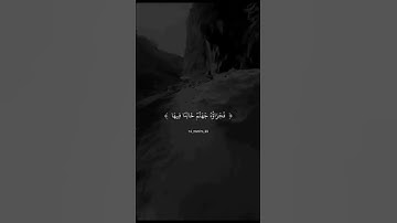 #قران #تلاوة #راحة_نفسية #جمعة_مباركة #عبد_الرحمن_مسعد