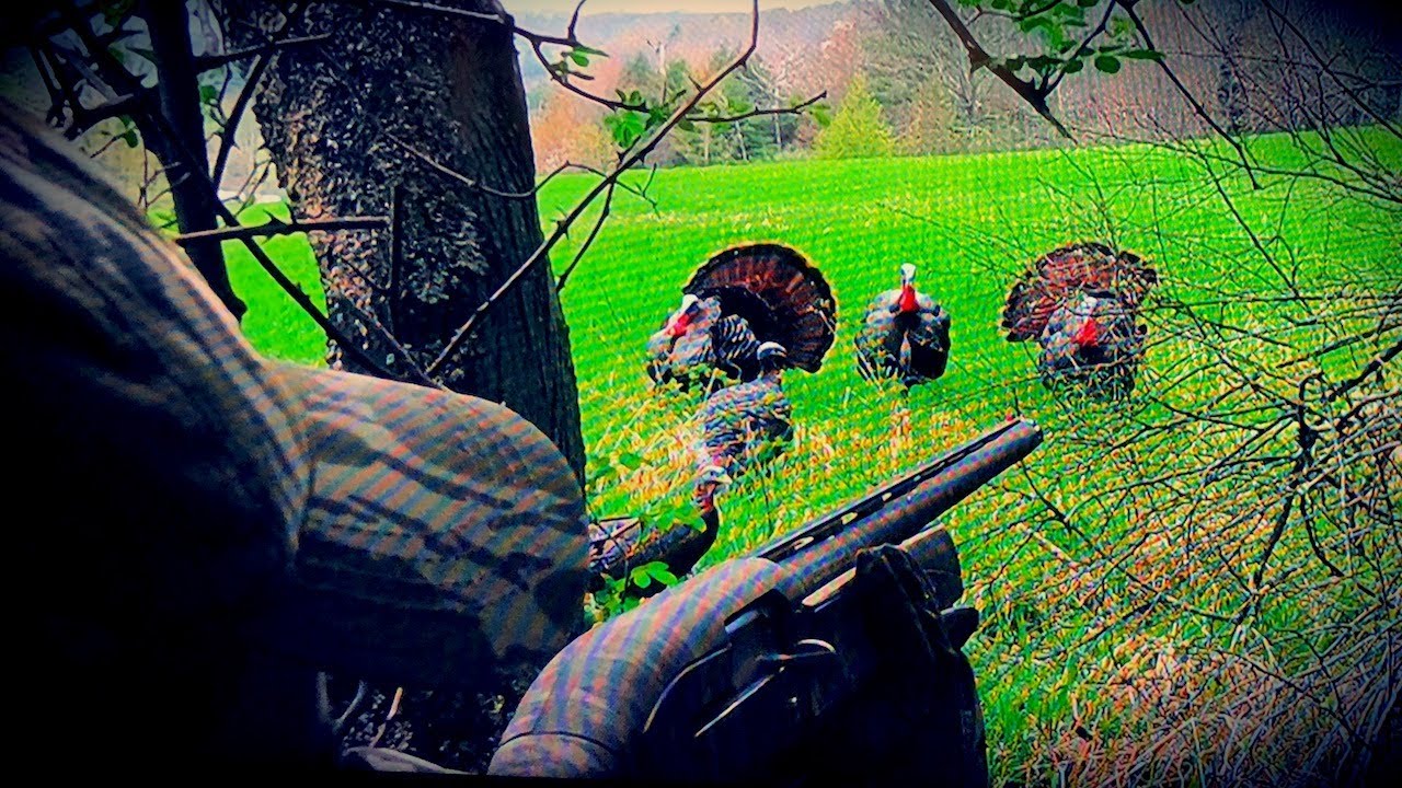 Pennsylvania Spring Turkey Hunting Episode V YouTube