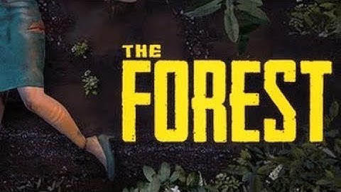 the forest part 1 crash landing