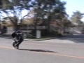 Harley wheelies