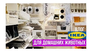 Товары Икеа для домашних животных  Неудачные покупки с Aliexpress для собаки чихуахуа #amydog