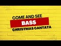 Come and see bass