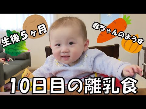5 months after birth baby&rsquo;s appearance/baby food time and feeding method