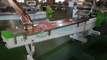 [CHLB machine] CB-300S Popsicle full servo packing machine with auto loader