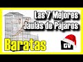 🦉🦜 Las 7 MEJORES Jaulas para Pájaros BARATAS de Amazon [2022]✅[Calidad/Precio] Grandes / de Madera