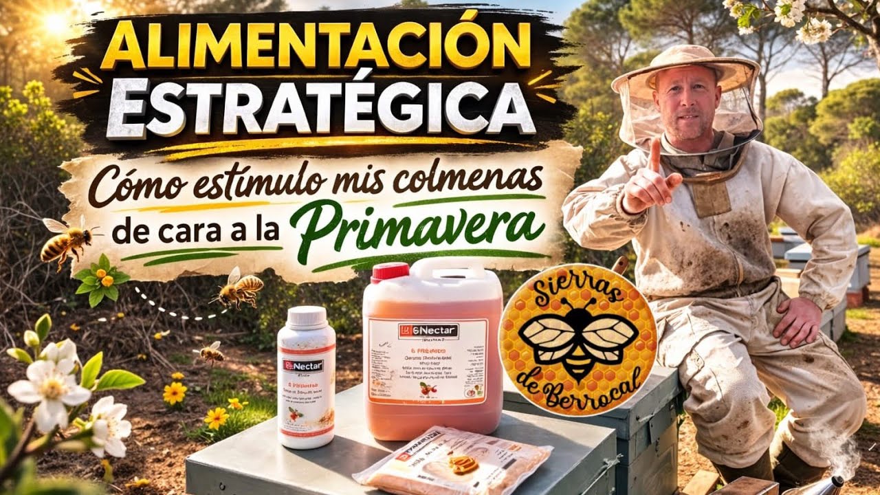 Alimentación estratégica  Cómo estimulo mis colmenas para la primavera 🐝 #Colmenas #VidaEnElApiario