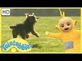 Teletubbies Full Episodes - Our Dog Alice (Season 7, Episode 157)