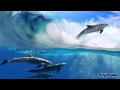 Stephen Schlaks - El Delfin Azul