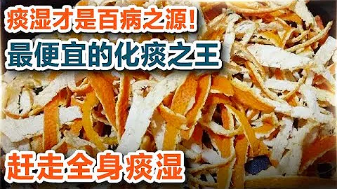 痰湿才是百病之源！它的皮是化痰之王 赶走全身痰湿【养生大讲堂11】 - 天天要闻