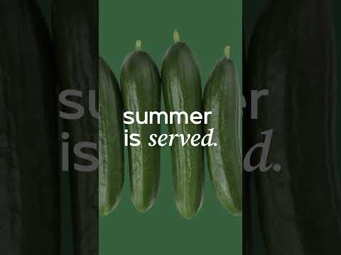 OUR BIGGEST. MENU. EVER. 🍉🫑🍆🥒🌻🥬🌶️🌿🎃🍅🫛