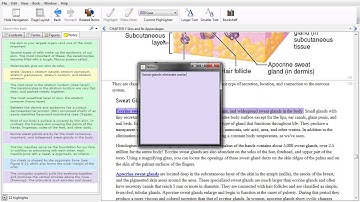 Note Taking for Pageburst on VitalSource
