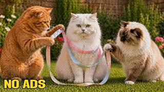 12 Hours Of Healing Cat Music😻Soothing Deep Sleep for Stressed Cats 🎵Relax Aid screenshot 1