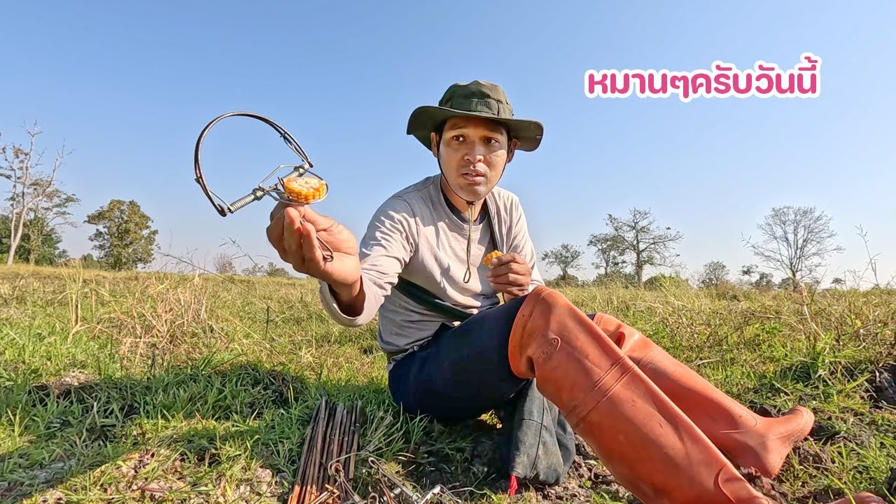 กับเกือกม้า บ่วง กับฟ้าผ่า แย่งกันทำผลงานเลยวันนี้ หมานๆ