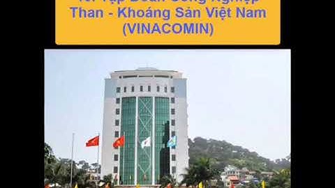 Top 100 công ty lớn nhất việt nam năm 2024