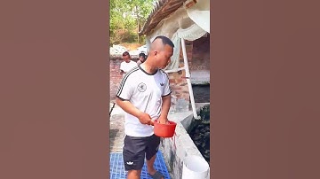 Mất trắng vì dịch tả lợn chàng trai tái sinh trang trại với mô hình nuôi cá trê