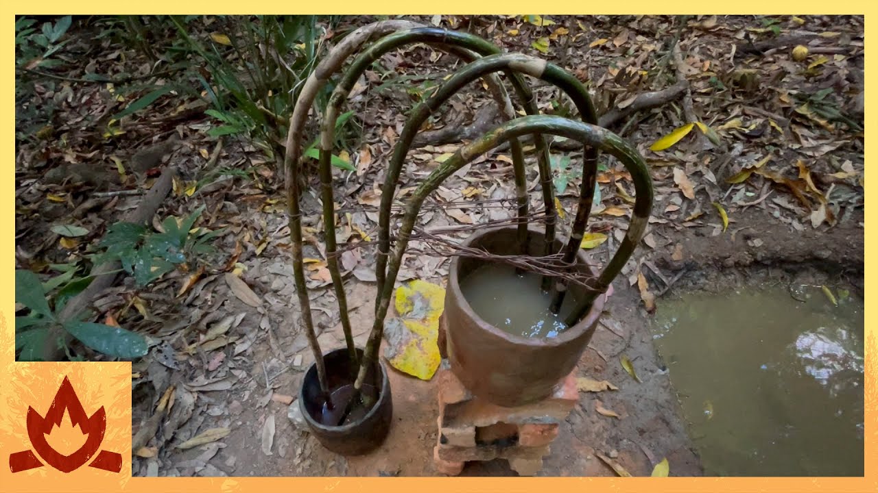 ⁣Primitive Technology: Cane Water Filter/Siphon