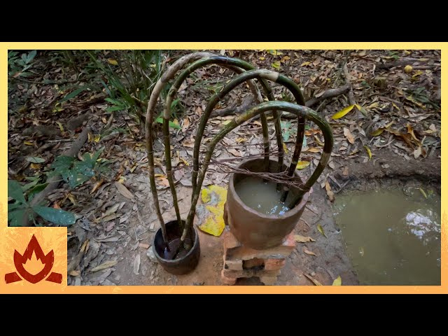 Primitive Technology: Cane Water Filter/Siphon class=